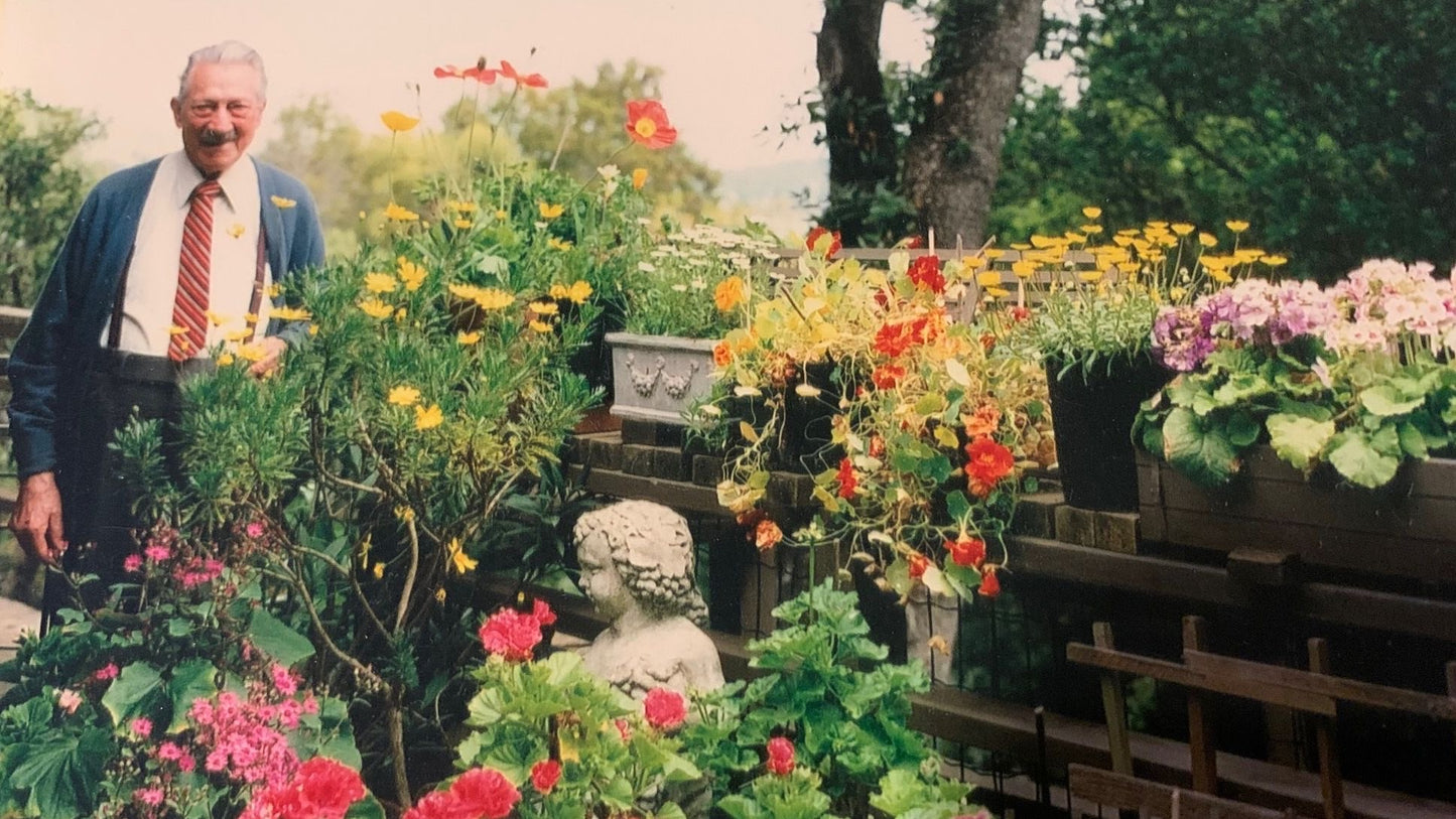 Rosa Cake Plate with Pedestal, ceramics, pottery, italian design, majolica, handmade, handcrafted, handpainted, home decor, kitchen art, home goods, deruta, majolica, Artisan, treasures, traditional art, modern art, gift ideas, style, SF, shop small business, artists, shop online, landmark store, legacy, one of a kind, limited edition, gift guide, gift shop, retail shop, decorations, shopping, italy, home staging, home decorating, home interiors