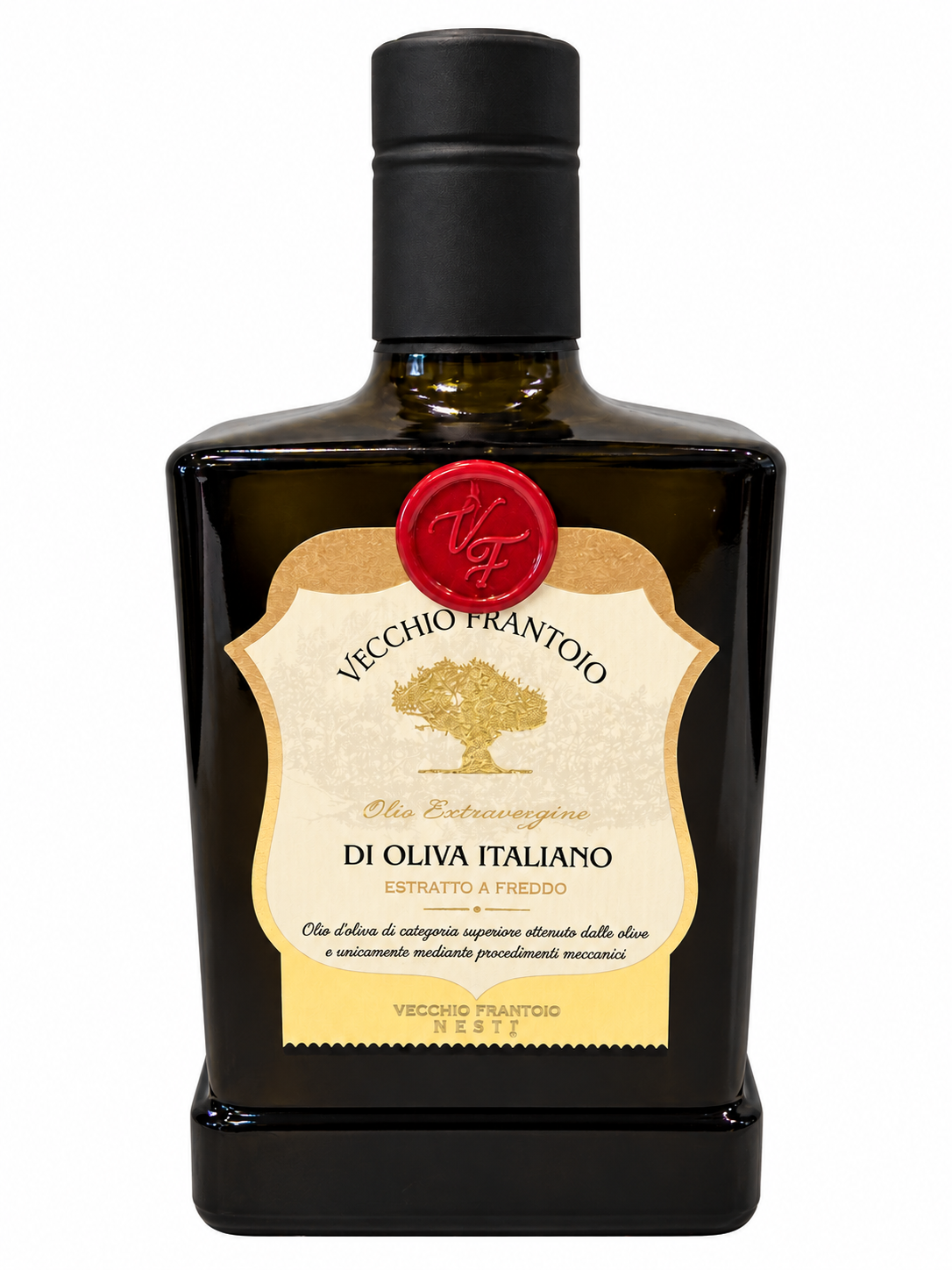 Adopt An Olive Tree from Tuscany