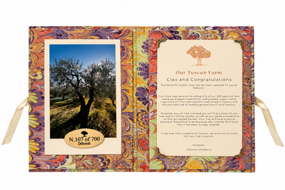 Adopt An Olive Tree from Tuscany