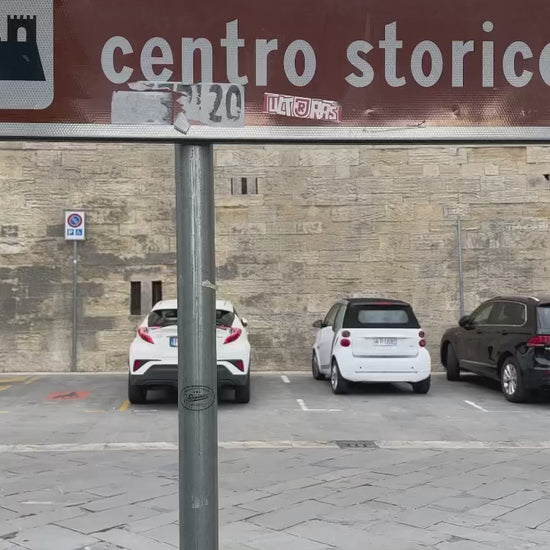 Blue Carnation Platter - Fish Large, ceramics, pottery, italian design, majolica, handmade, handcrafted, handpainted, home decor, kitchen art, home goods, deruta, majolica, Artisan, treasures, traditional art, modern art, gift ideas, style, SF, shop small business, artists, shop online, landmark store, legacy, one of a kind, limited edition, gift guide, gift shop, retail shop, decorations, shopping, italy, home staging, home decorating, home interiors